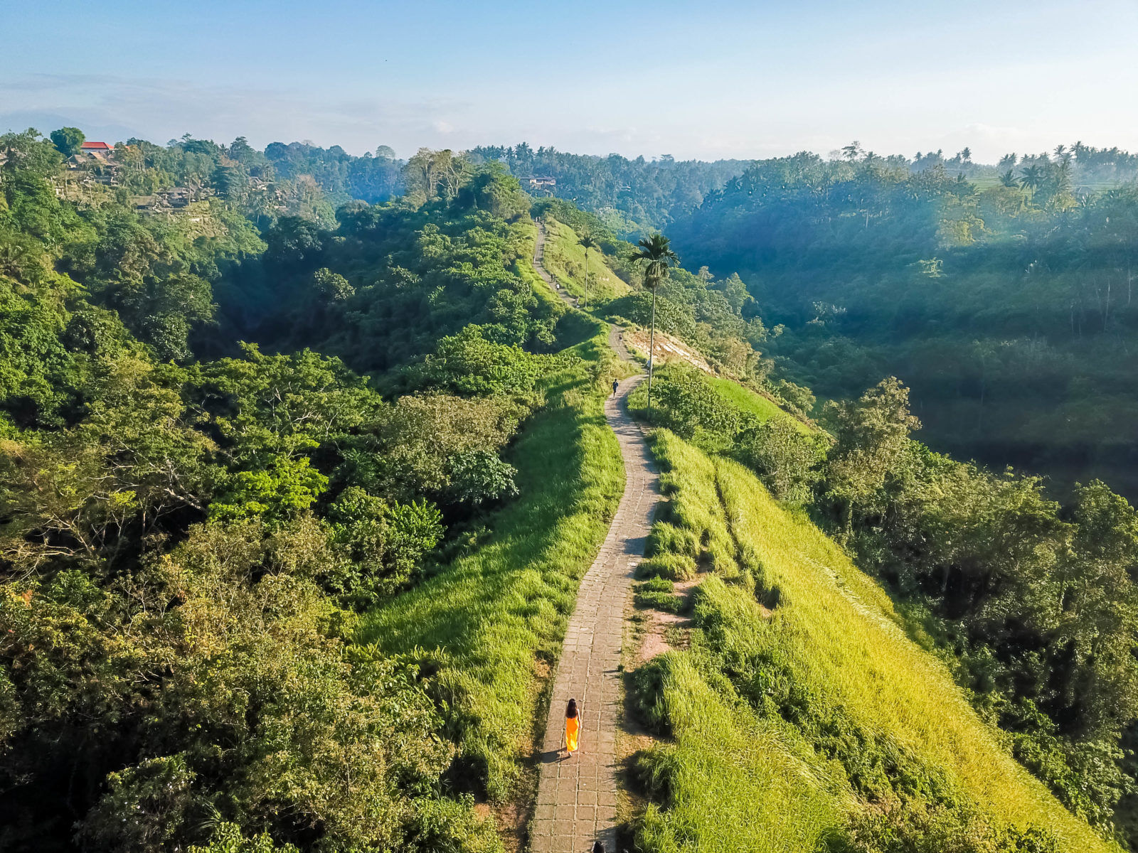 Reflect on Bali’s subak irrigation history